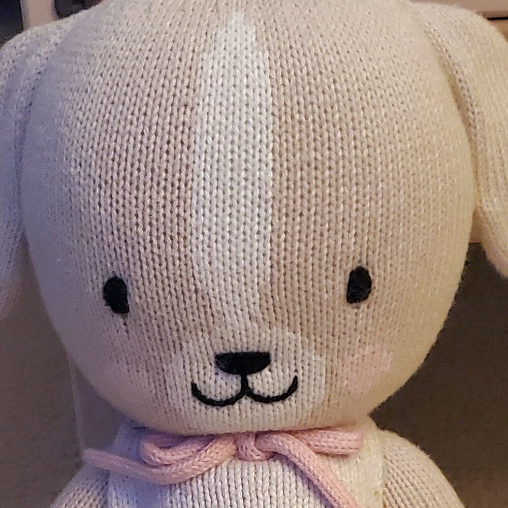 IN SEARCH OF: Hannah Anderson or little co Pajama pants size 12